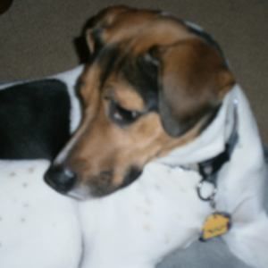 Meet your Posher, Brendan